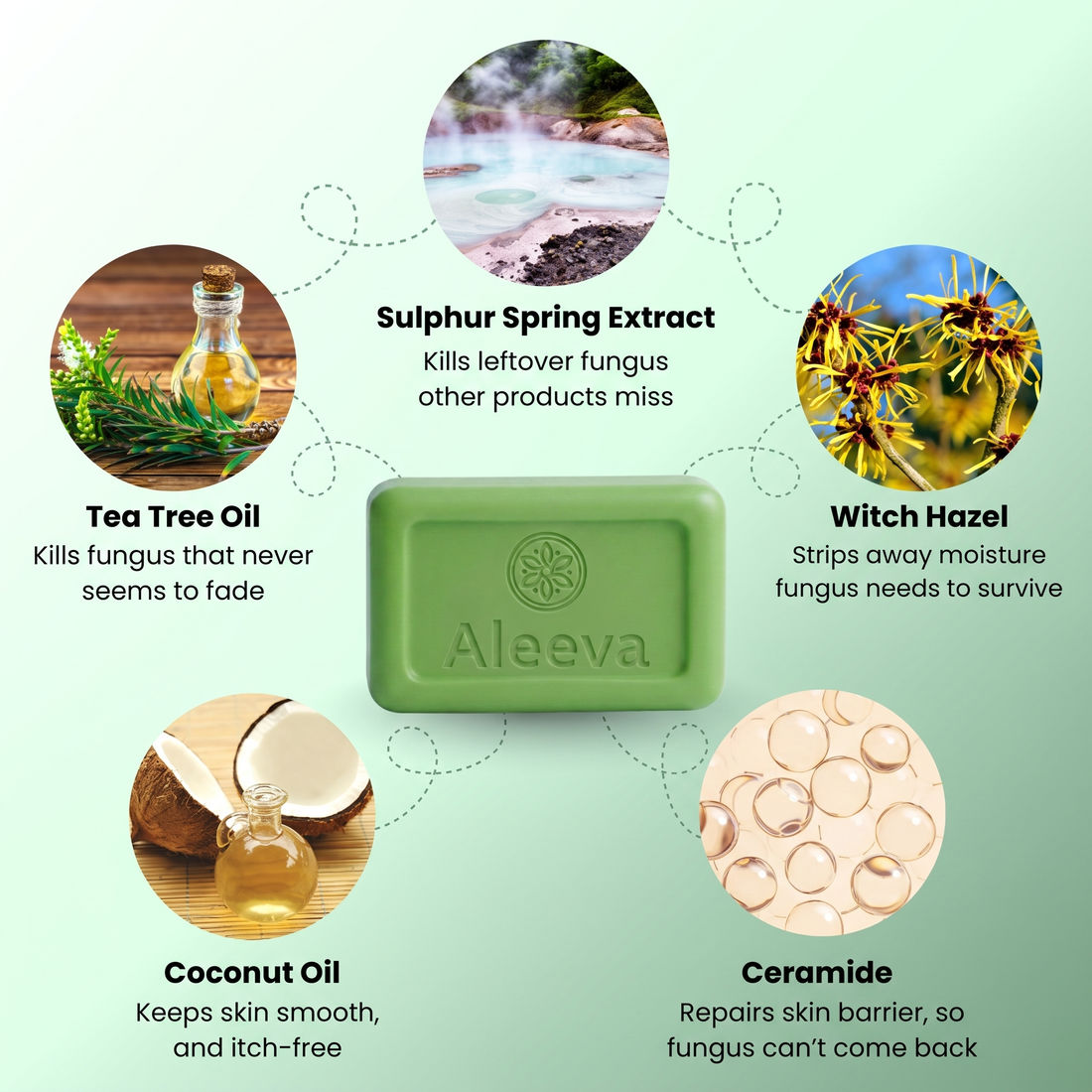 Aleeva natural active ingredients